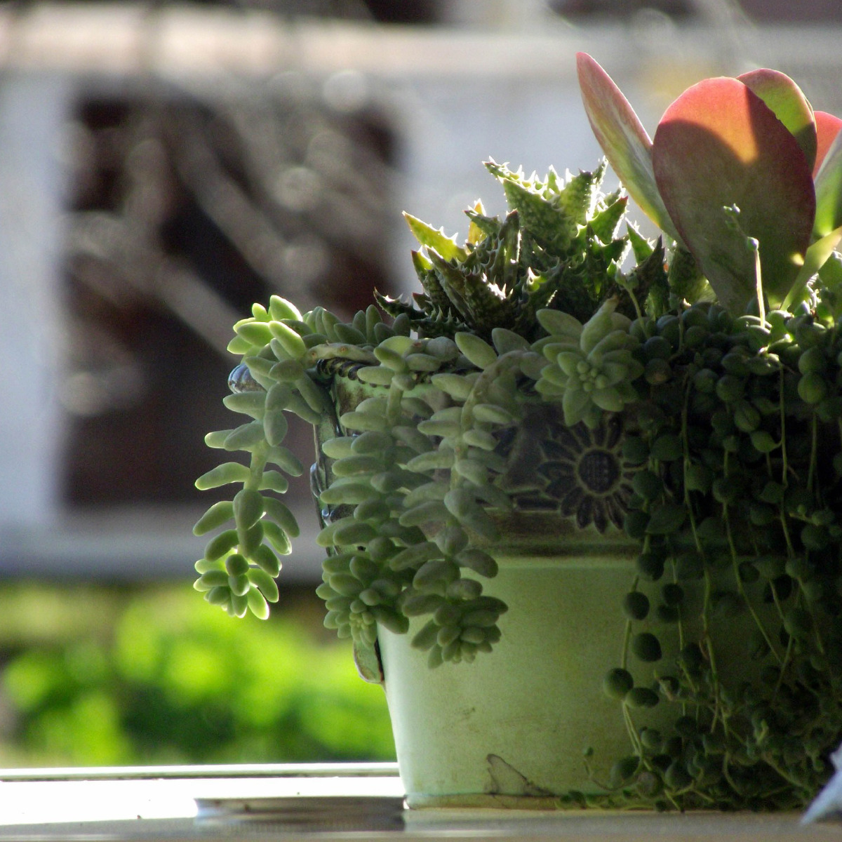 Planten in de slaapkamer